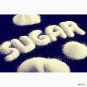 На постоянной основе,  на экспорт сахар свекловичный,  тростниковый.