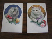 2 открытки Кошки Польша